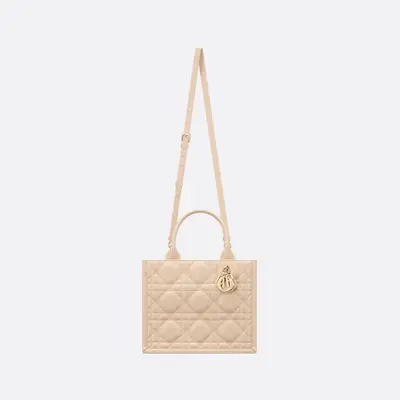 Sac Dior Book Tote Small